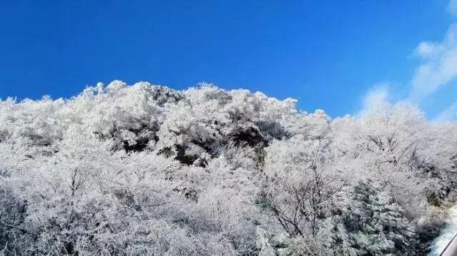 小鸟快跑
