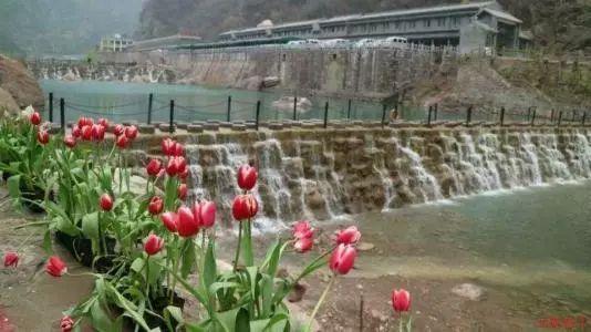 虫虫助手下载