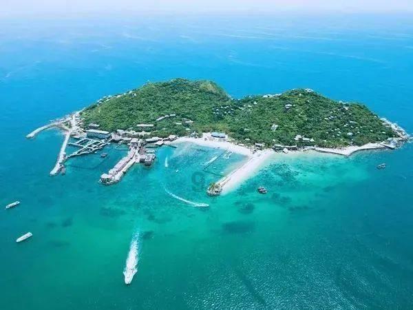 莫雷岛逃脱