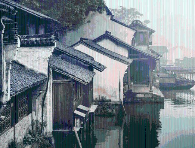 爱吃叶子的毛毛虫